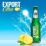 DB Export Citrus